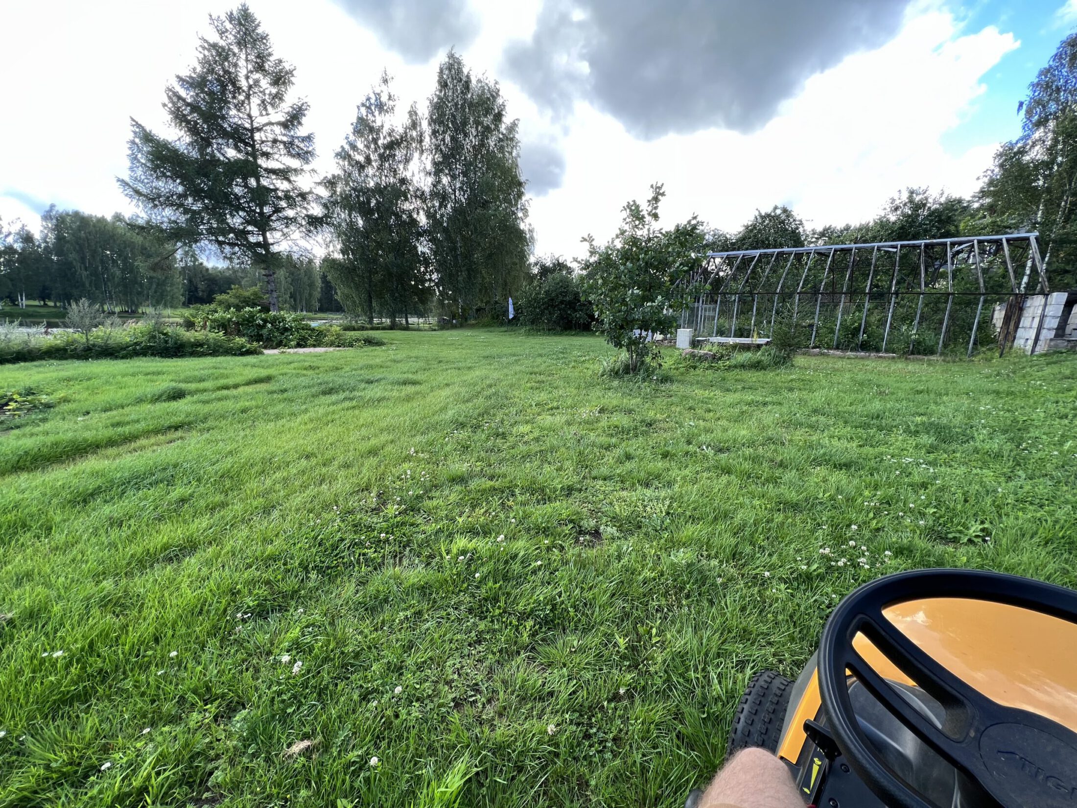 muru niitmine tartu krimux 2